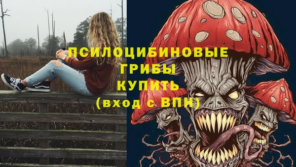 ПСИЛОЦИБИНОВЫЕ ГРИБЫ Балахна